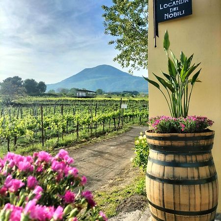 Vesuvio Inn Guest House e Wine Experience Boscotrecase Extérieur photo