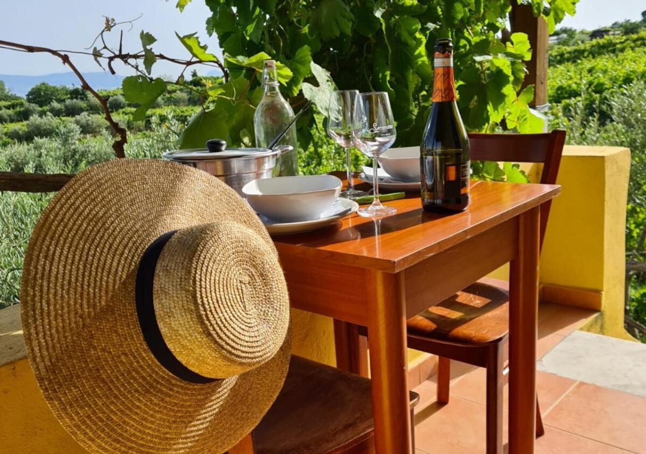 Vesuvio Inn Guest House e Wine Experience Boscotrecase Extérieur photo