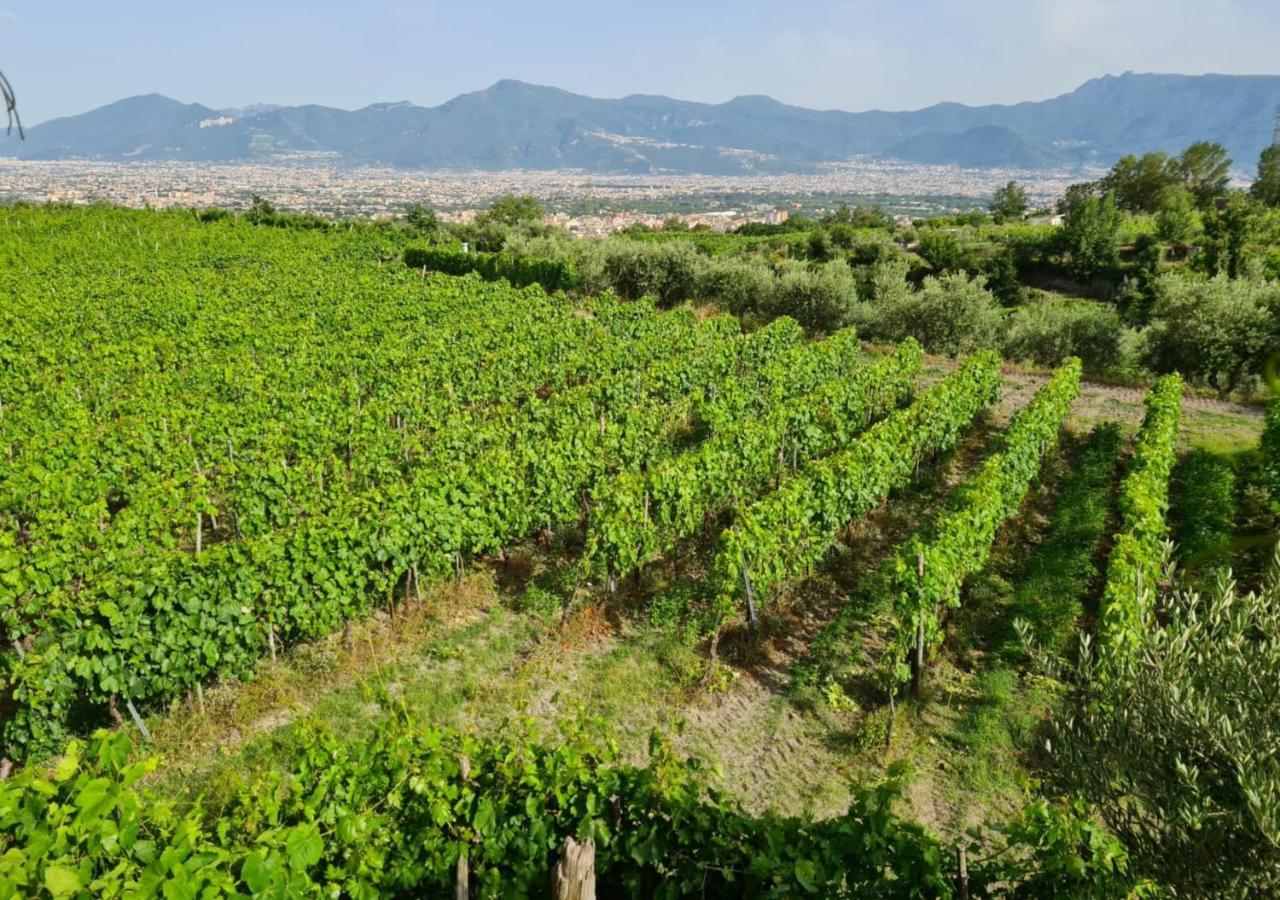 Vesuvio Inn Guest House e Wine Experience Boscotrecase Extérieur photo