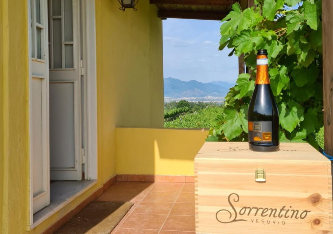 Vesuvio Inn Guest House e Wine Experience Boscotrecase Extérieur photo