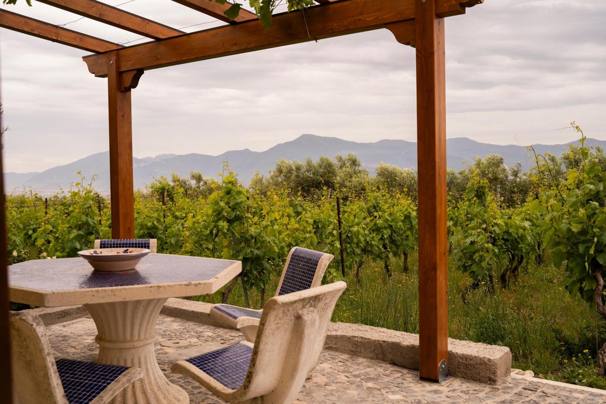 Vesuvio Inn Guest House e Wine Experience Boscotrecase Extérieur photo