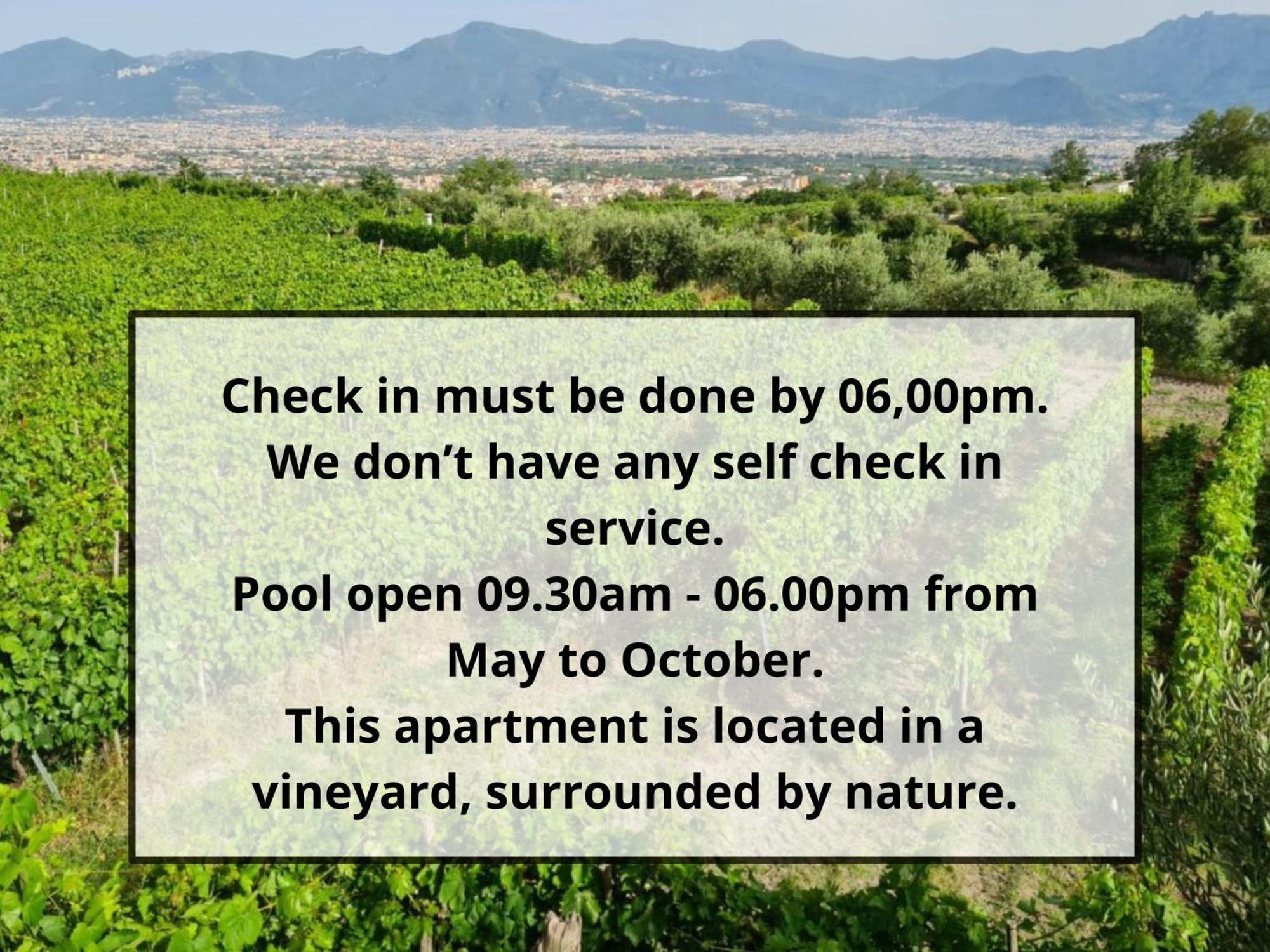 Vesuvio Inn Guest House e Wine Experience Boscotrecase Extérieur photo