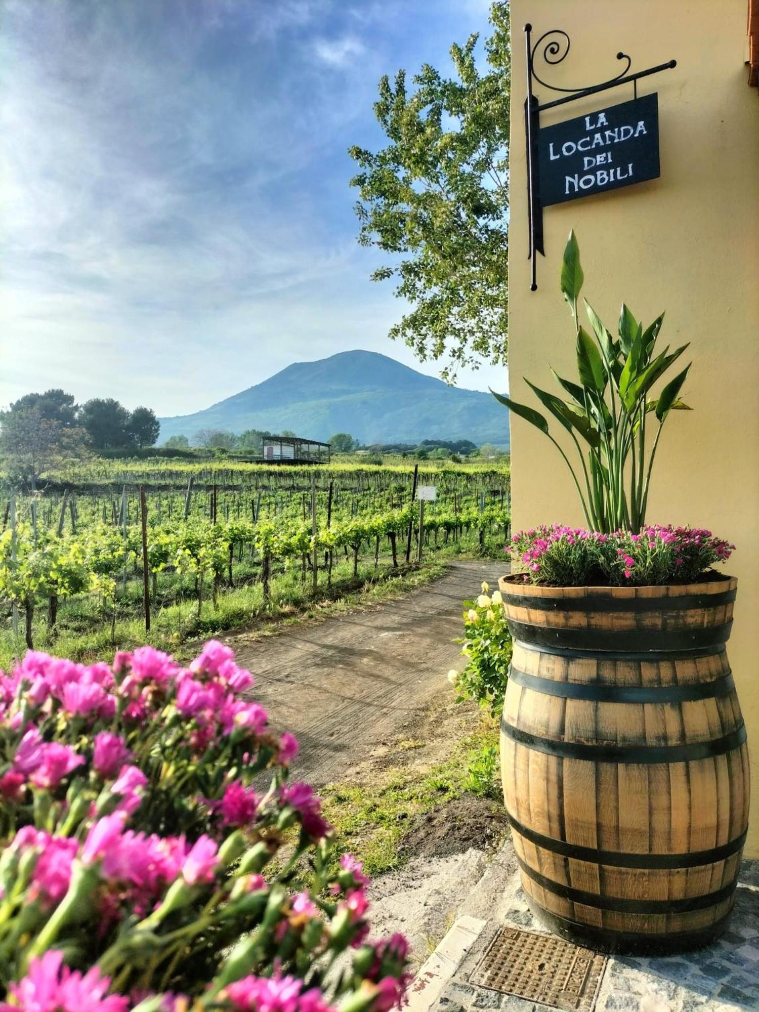 Vesuvio Inn Guest House e Wine Experience Boscotrecase Extérieur photo