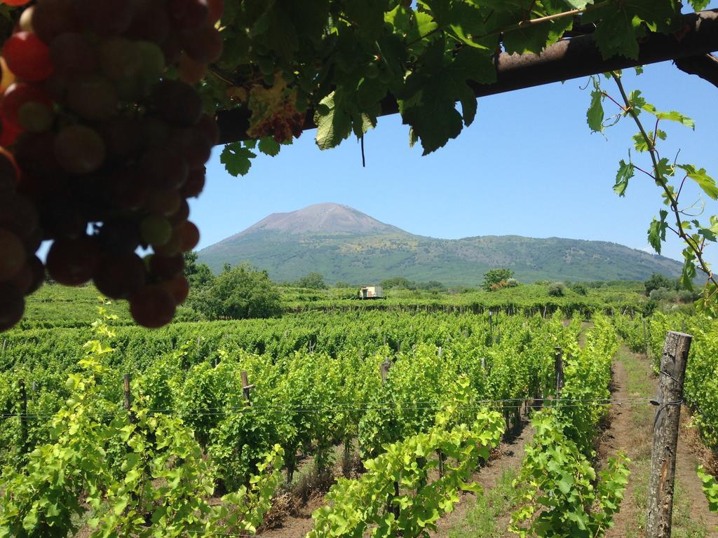 Vesuvio Inn Guest House e Wine Experience Boscotrecase Extérieur photo
