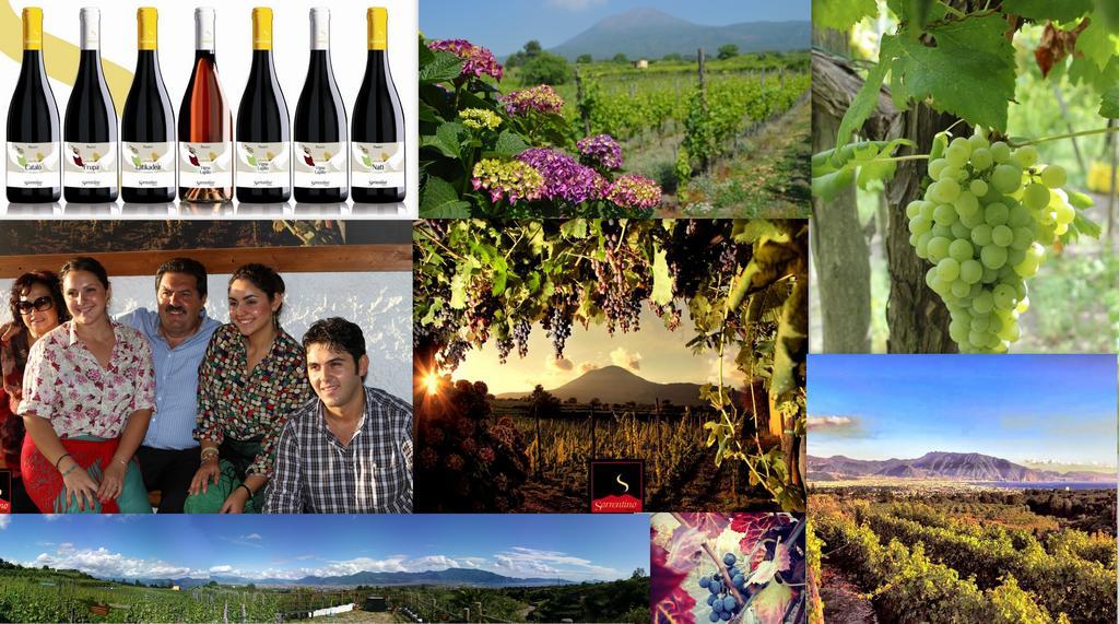 Vesuvio Inn Guest House e Wine Experience Boscotrecase Extérieur photo